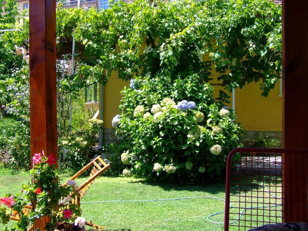 Holiday Home Vesna Budva Room photo