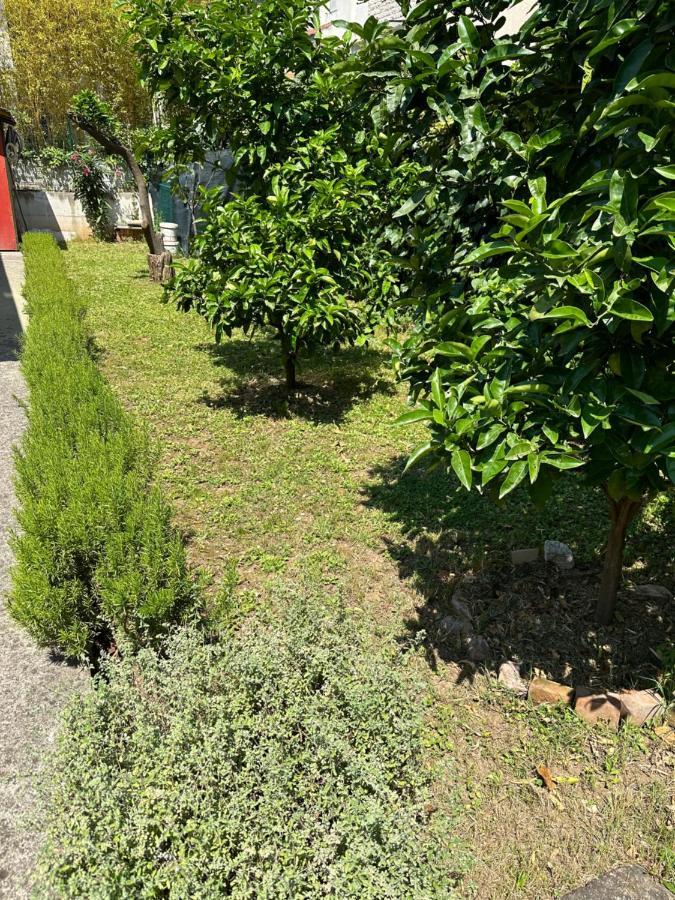 Holiday Home Vesna Budva Exterior photo
