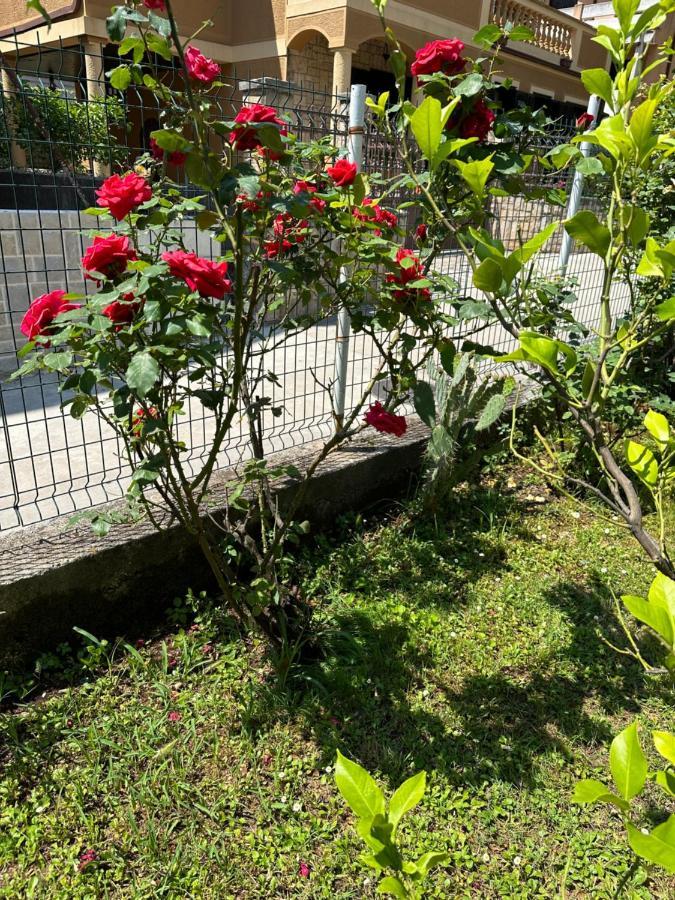 Holiday Home Vesna Budva Exterior photo